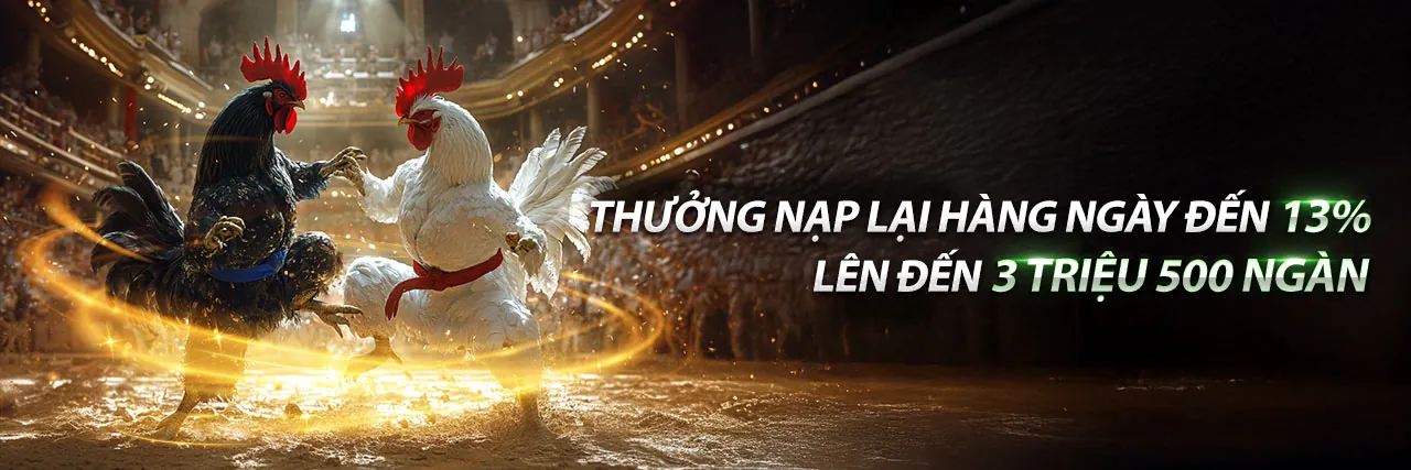 Đá gà trực tuyến kịch tính tại Gacam67a chính thức